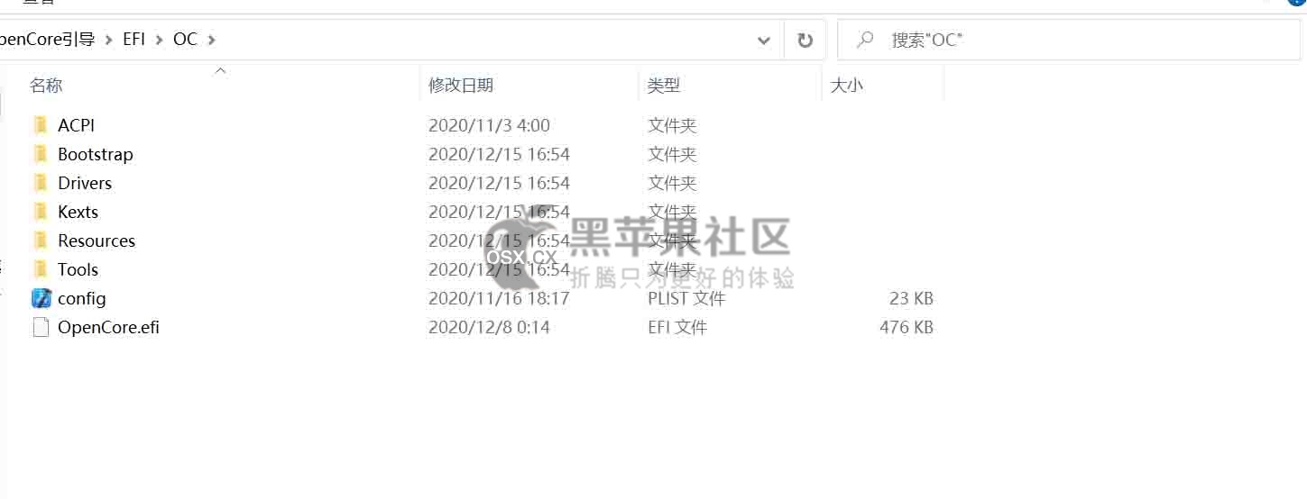 Big Sur 111 黑苹果安装教程凯发国际K82021最新macOS(图12) Big Sur 111 黑苹果安装教程凯发国际K82021最新macOS(图12)